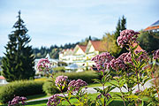 So schön kann der Frühling sein im Sport- und Wellness Hotel  Angerhof in Sankt Englmar im Bayerischen Wald ©Hotel Angerhof